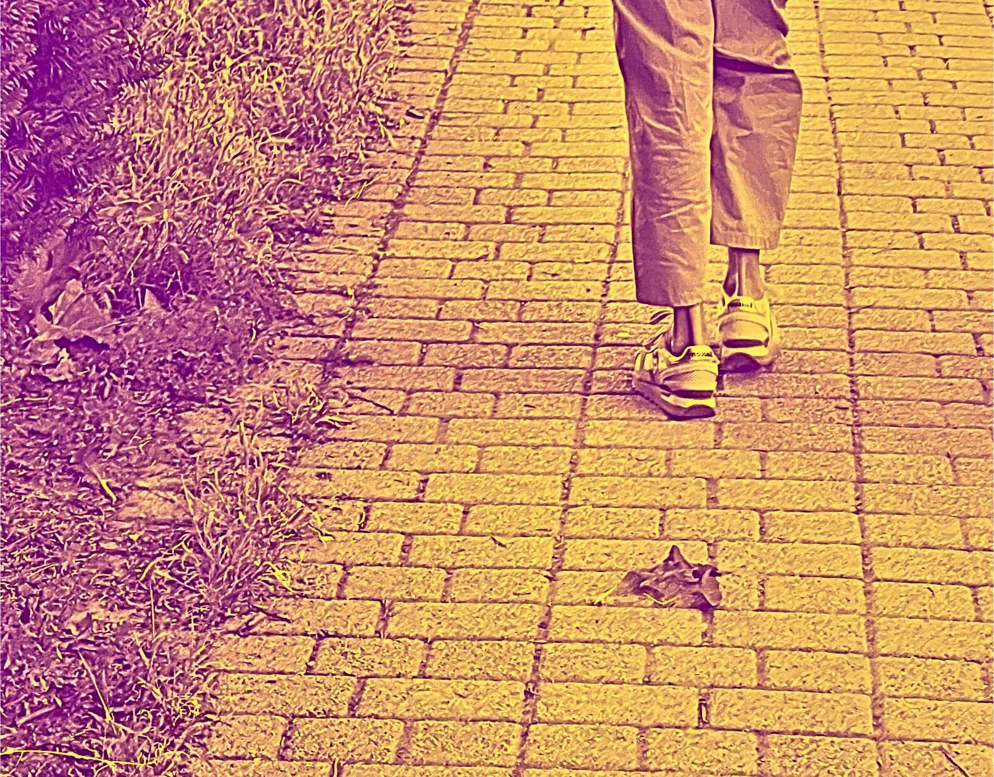 Spaziergangs Forschung